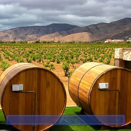 Hotel Boutique Valle de Guadalupe & Spa