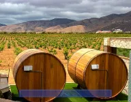 Hotel Boutique Valle de Guadalupe & Spa - Mountain view