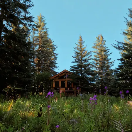 Unique Alaskan log home in trees & wild flowers on 14-acre private homestead.