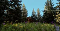 Unique Alaskan log home in trees & wild flowers on 14-acre private homestead.