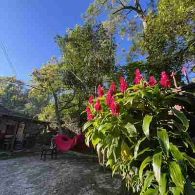 Home Hostel Ella Private Rooms Only Hotel Exterior