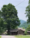 Cabin 5 - Rustic cabin in Pioneer Village, Great Smoky Mountains NC