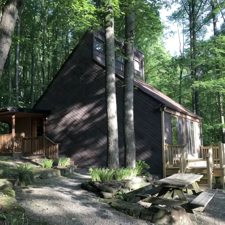 Mid-century A-frame style cabin with lake views near the heart of Amish Country