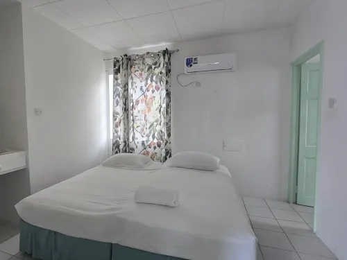 Classic One-Bedroom Apartment W King bed
