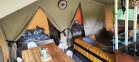 Camping des vignes - piscine
