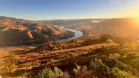 Cozy House with Douro View - 2-Star