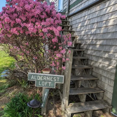 Aldernest Loft - Acadia Park/Mount Desert Island -walk across lawn down to shore