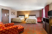 Quality Inn & Suites - Wifi