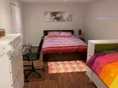 Chic Spacious Basement Pool WellServed No Kitchen