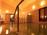Koito Ryokan - Hot Springs