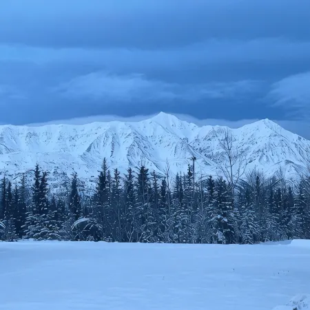 Mountain Views at Red Fox Cabin