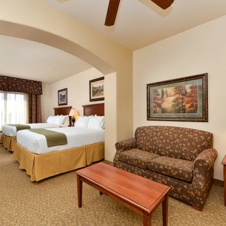 Holiday Inn Express & Suites LAS CRUCES by IHG