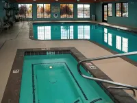 Hampton Inn & Suites Carson City - Pools