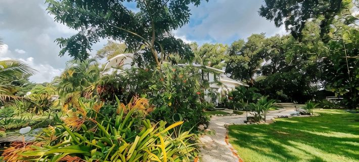 Cozy and roomy cottage Hotels in Dunedin