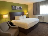 Suburban Studios Melbourne Airport - Wifi