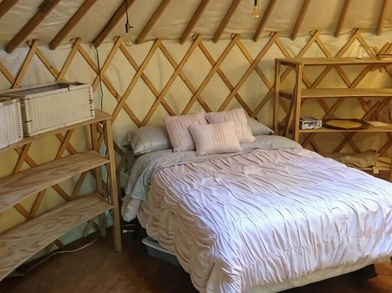 Fiddlehead Farm Yurt