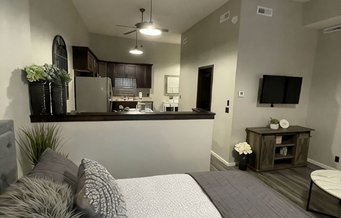 New! 1 of 4 Downtown Studios