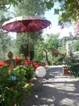 Lovingly Renovated Country House in the Olive Grove with Large Panoramic Pool, Air Conditioning - 3-Star