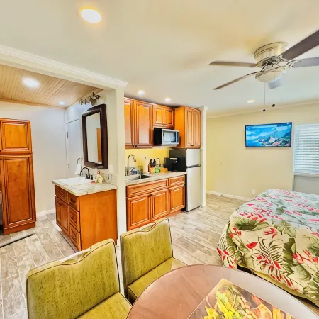 TOTALLY REMODELED Tropical Paradise Studio with A/C & washer/dryer