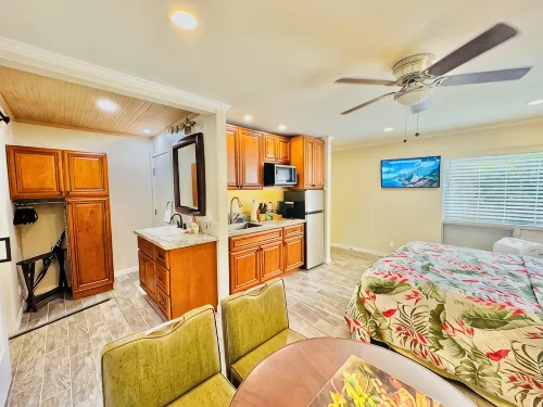 TOTALLY REMODELED Tropical Paradise Studio with A/C & washer/dryer - Wifi