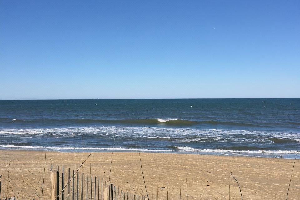 Photo 5 of 6