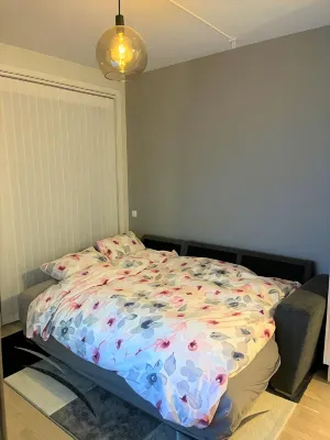 Scandpoint Apartments OSLO ski in ski out all year in SNOOSLO with Free Parking - Apartments