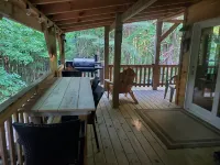Newly built cabin in cozy wooded setting - Chalets