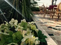 Hotel San Marco - balcony