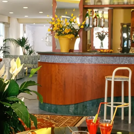 Hotel Foschi-Peninsula