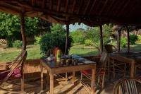 bahari pori resort - Pet friendly