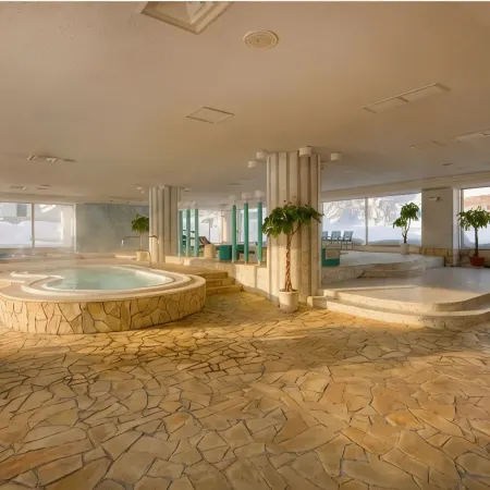THE ALPS HOTEL HAKUBA