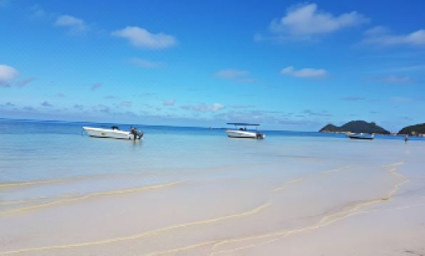 3. 반스 애비뉴 게..