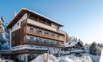 Chalet Caminetto