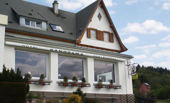 a white building with a brown roof and windows has plants on the windows in front at Hotel Panorama