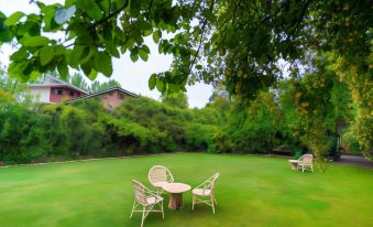 a lush green lawn with several chairs and a table set up for outdoor dining at Hotel Mirage