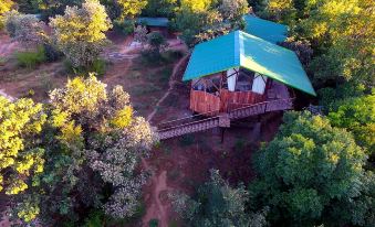 Kanha Jungle Camp