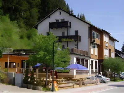 Action Forest Hotel - Kletterwald - Lasertag - nähe Badeparadies Hotels in der Nähe von Titisee