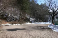 Pyeongchang Phoenix