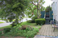 Cozy House B&B