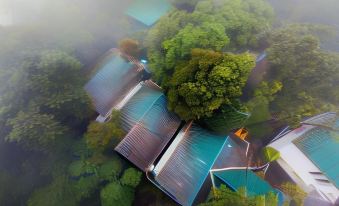 Lakkidi Mist