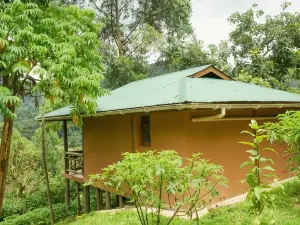 B&B Boutique a Uganda: le opzioni più popolari