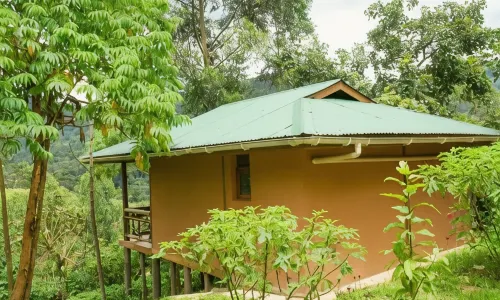 Ichumbi Gorilla Lodge