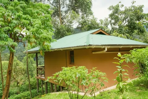 Ichumbi Gorilla Lodge