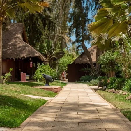 Royal Horizon Baobab