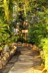 Maya Internacional Hotels in 
