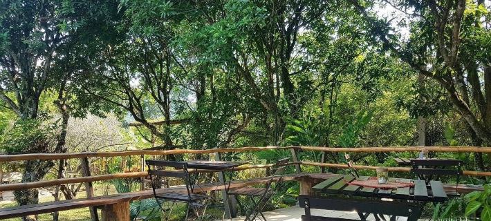 Aum Hum Homestay Hotels in Fang