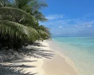 蒼鷺海灘酒店 - 沙灘