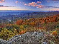 Cameron Charmer pristine downtown apt with double master suites