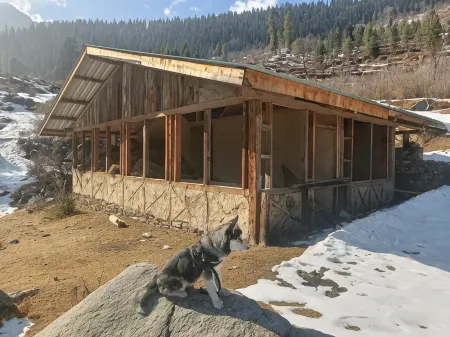 Trimounts-A Boutique Hotel & Wellnes Center in Tirthan Valley