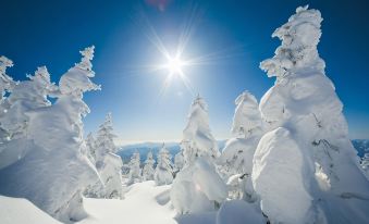 2. 에넥스 로열 호..